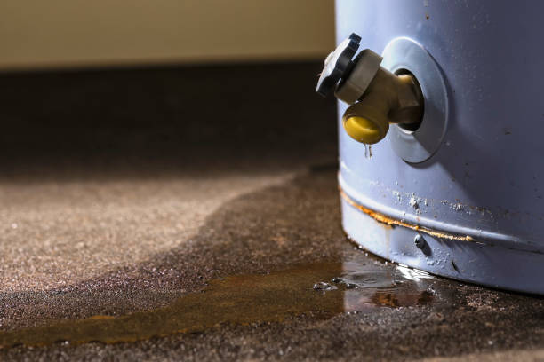 Best Mold removal after water damage  in Viera East, FL