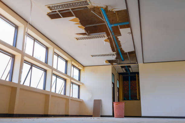 Best 24/7 water damage repair  in Viera East, FL