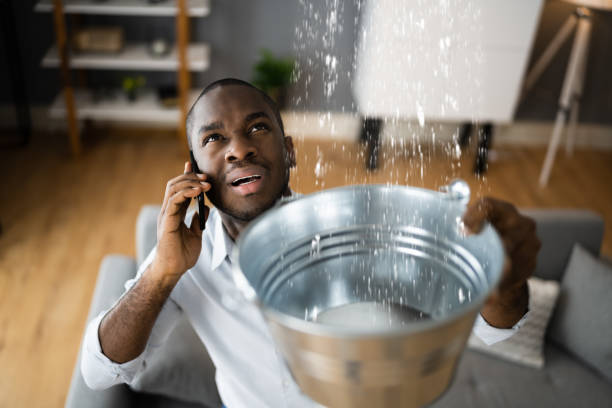 Best Carpet water damage restoration  in Viera East, FL