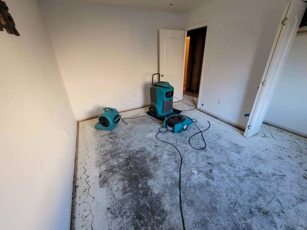 Best Flood restoration services  in Viera East, FL