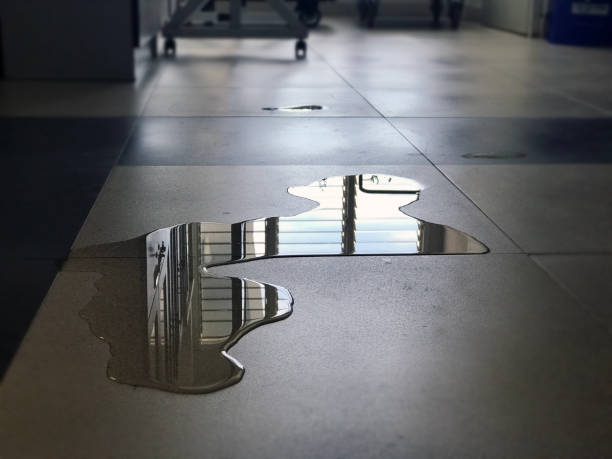 Best Commercial water damage restoration  in Viera East, FL