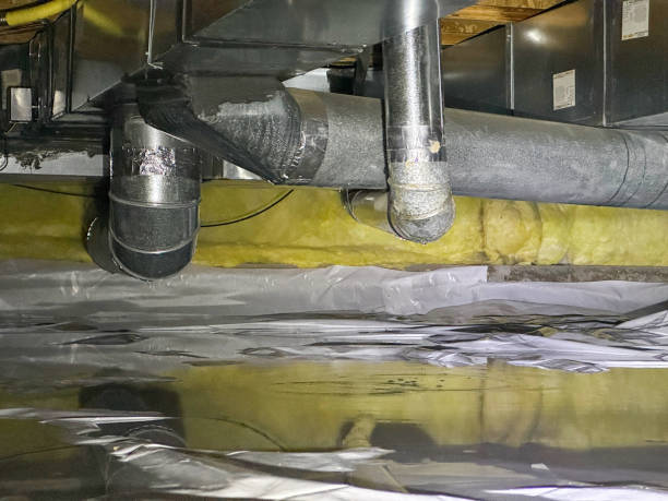 Best Mold removal after water damage  in Viera East, FL